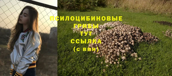круглые Алексин