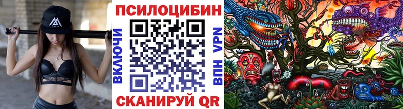 где купить наркоту  Любим  Псилоцибиновые грибы мицелий 